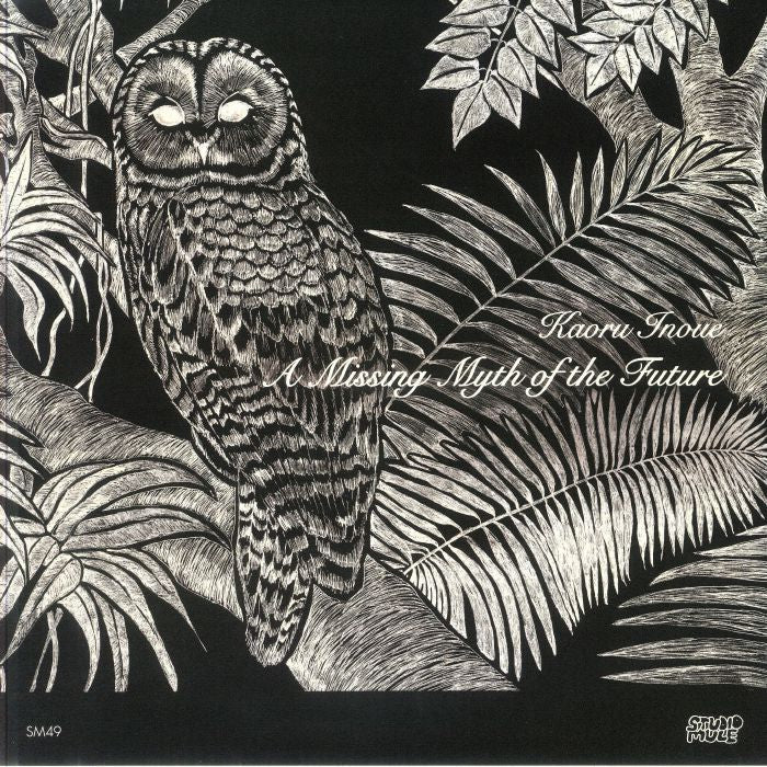 A Missing Myth Of The Future - Vinyl LP vinyl record cover