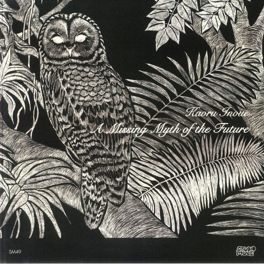 A Missing Myth Of The Future - Vinyl LP vinyl record cover
