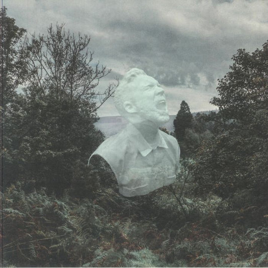 The Garden - Vinyl LP vinyl record cover