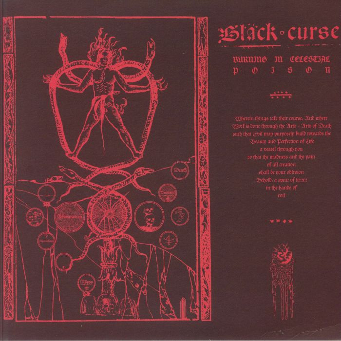 Burning In Celestial Poison - Vinyl LP vinyl record cover