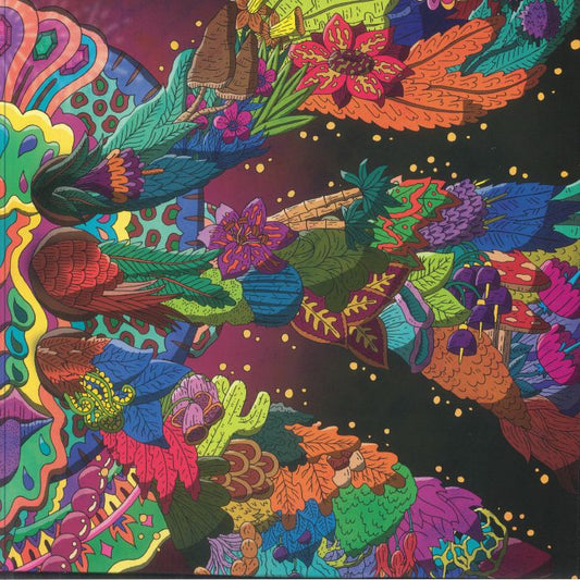 Spacious Minds Vol 2 - Vinyl LP vinyl record cover