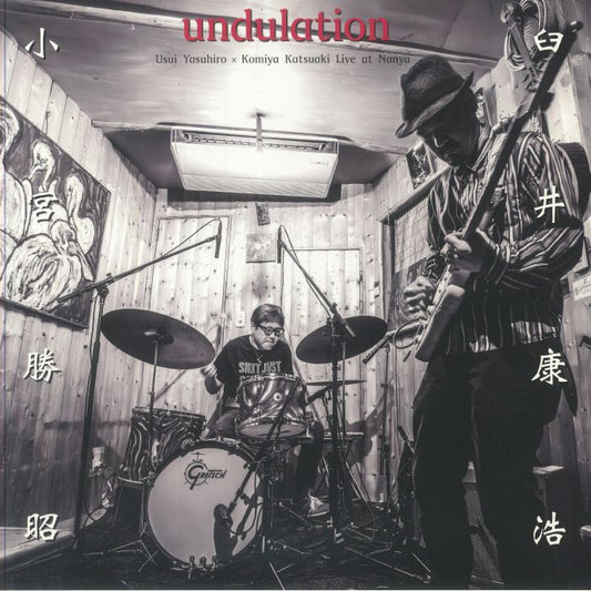 Undulation - Vinyl LP vinyl record cover