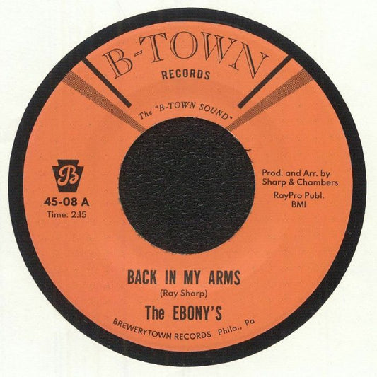 Back In My Arms - Vinyl Single vinyl record cover