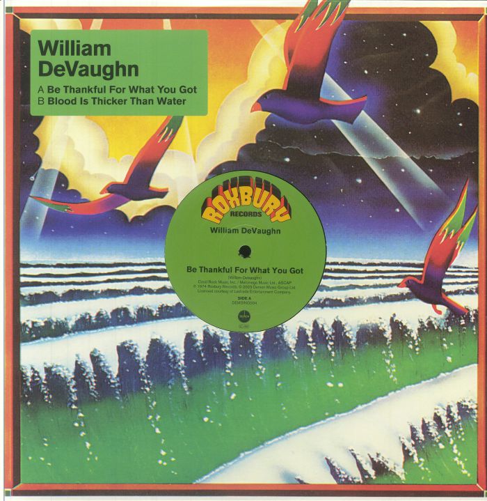 Be Thankful For What You Got - Vinyl Single vinyl record cover