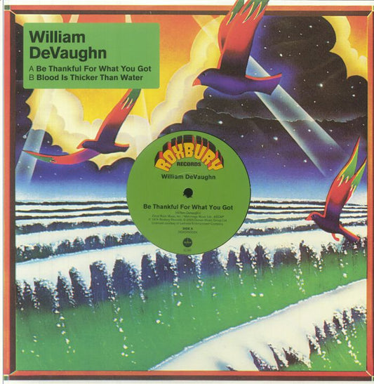 Be Thankful For What You Got - Vinyl Single vinyl record cover