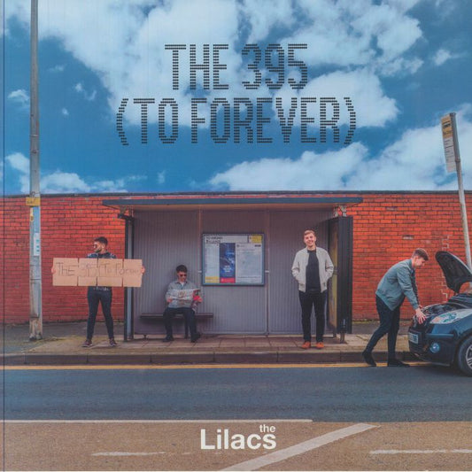 The 395 To Forever - Blue Marbled Vinyl LP vinyl record cover