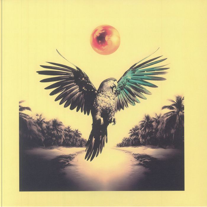 Ponta De Dois Lados - Vinyl LP vinyl record cover