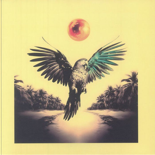 Ponta De Dois Lados - Vinyl LP vinyl record cover
