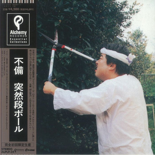 Fubi - Vinyl LP vinyl record cover