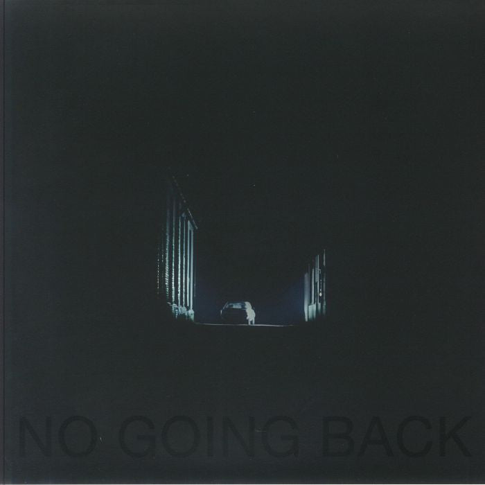 No Going Back - Vinyl LP vinyl record cover