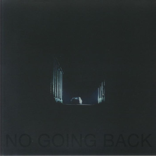 No Going Back - Vinyl LP vinyl record cover