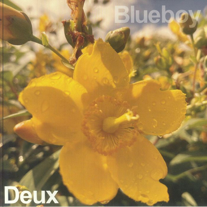 Deux - Vinyl Single vinyl record cover