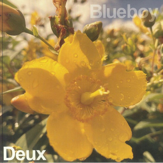 Deux - Vinyl Single vinyl record cover