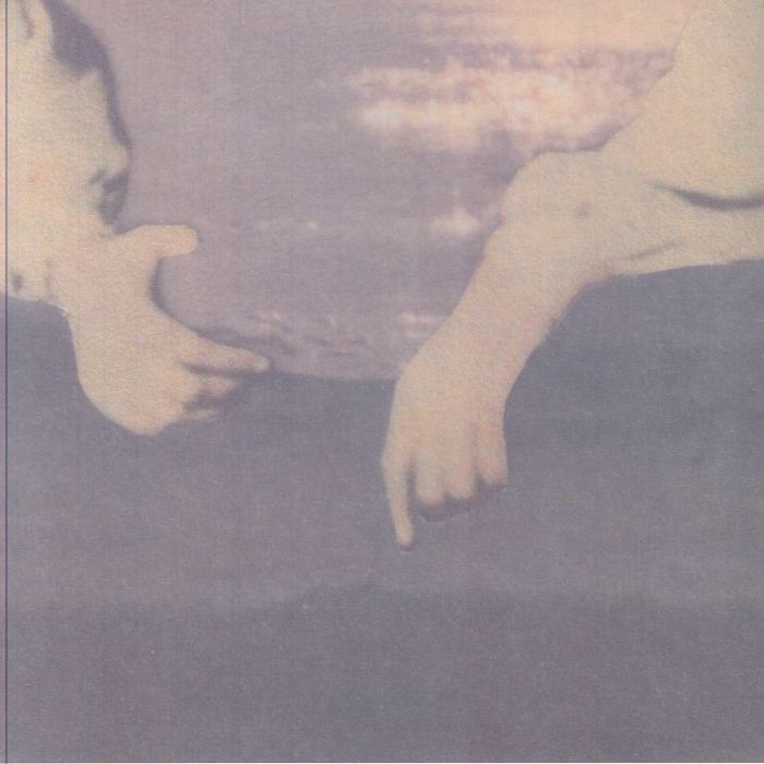 Sleeve Of The Beach - Vinyl LP vinyl record cover