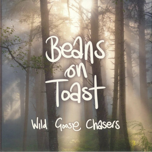 Wild Goose Chasers - Picture Disc LP vinyl record cover
