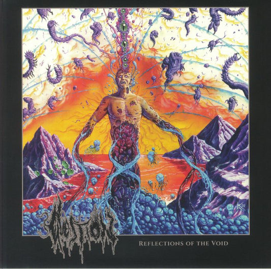 Reflections Of The Void - Vinyl LP vinyl record cover