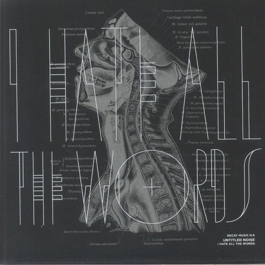 Decay Music N 8: I Hate All The Words - Vinyl LP vinyl record cover