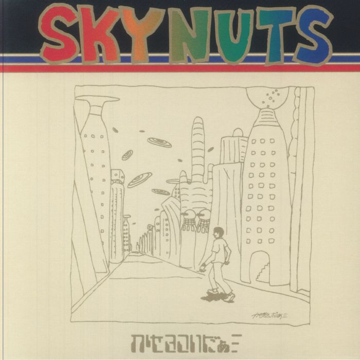 Skynuts - Vinyl LP vinyl record cover