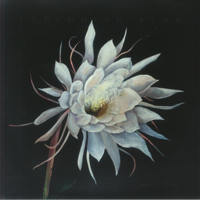 Exploding Star - Vinyl LP vinyl record cover