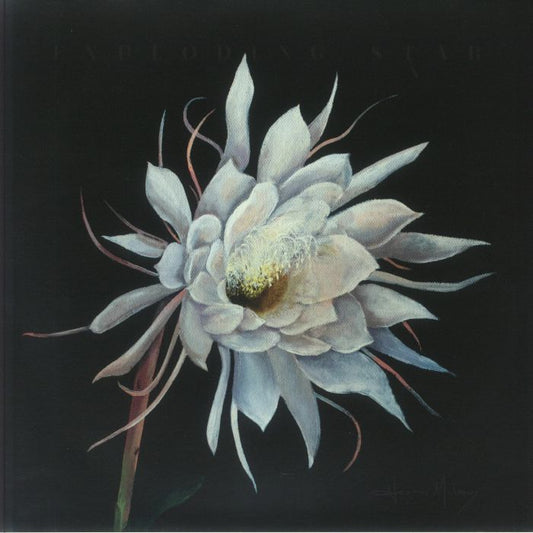 Exploding Star - Vinyl LP vinyl record cover
