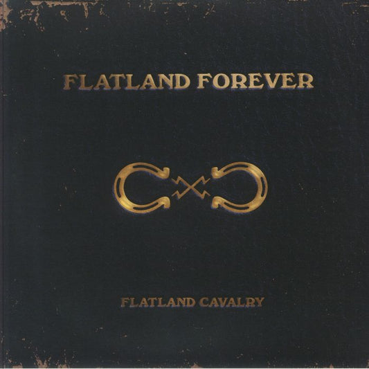 Flatland Forever - Gold Vinyl 2xLP vinyl record cover