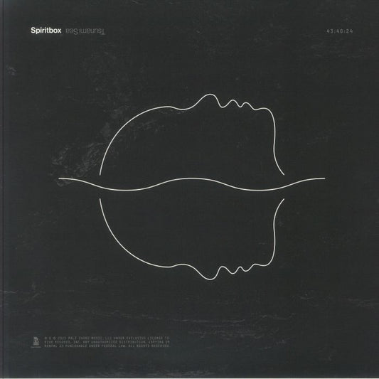 Tsunami Sea - Black, White & Grey Split Vinyl LP vinyl record cover