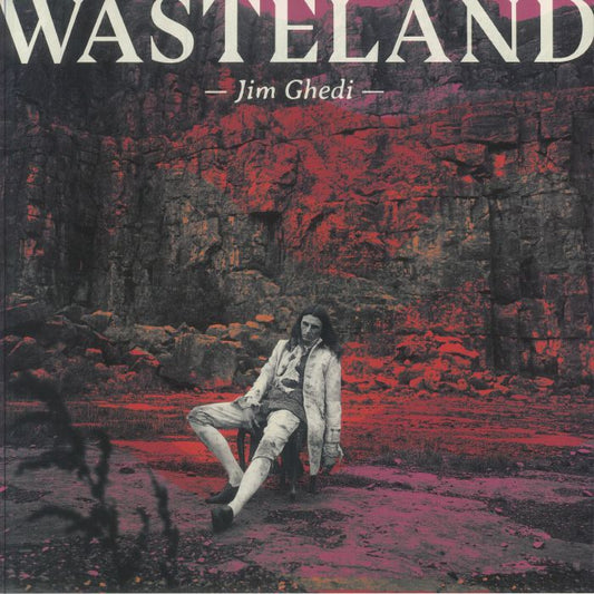 Wasteland - Vinyl LP vinyl record cover