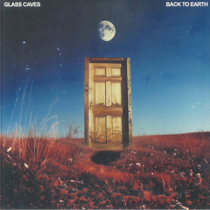 Back To Earth - Vinyl LP vinyl record cover
