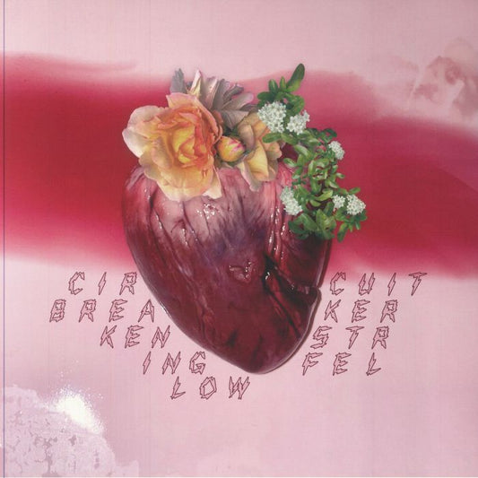 Circuit Breaker - Vinyl LP vinyl record cover