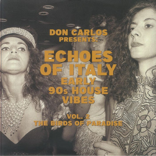 Echoes Of Italy Early 90s House Vibes Vol 2: The Birds Of Paradise - 2xLP vinyl record cover