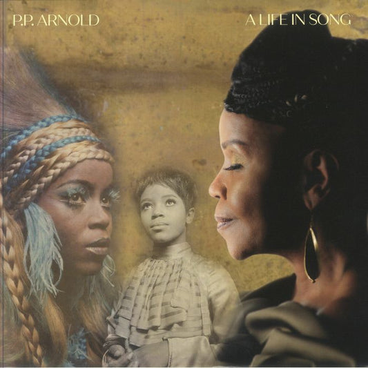 Soul Survivor: A Life In Song - 2xLP vinyl record cover