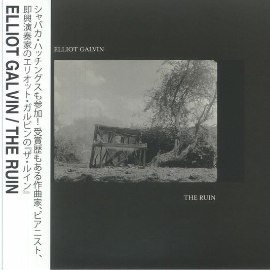 The Ruin - Vinyl LP vinyl record cover