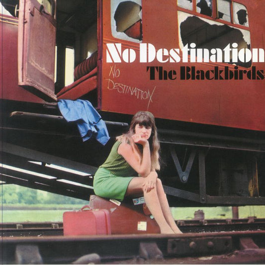 No Destination - Vinyl LP vinyl record cover