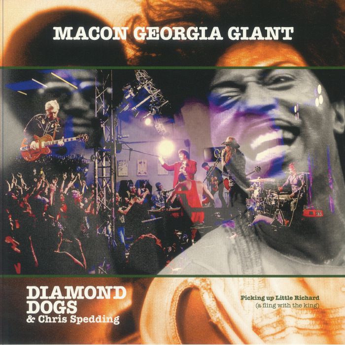 Macon Georgia Giants - Vinyl LP vinyl record cover