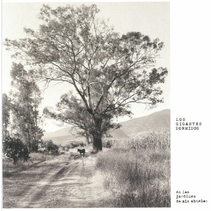 En Los Jardines De Mis Abuelos - Vinyl LP vinyl record cover