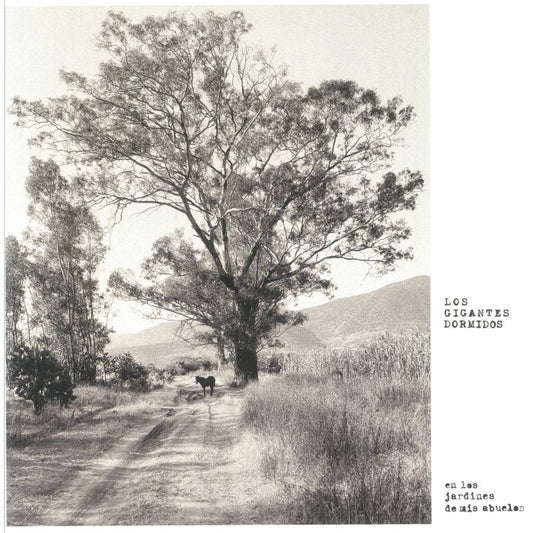 En Los Jardines De Mis Abuelos - Vinyl LP vinyl record cover