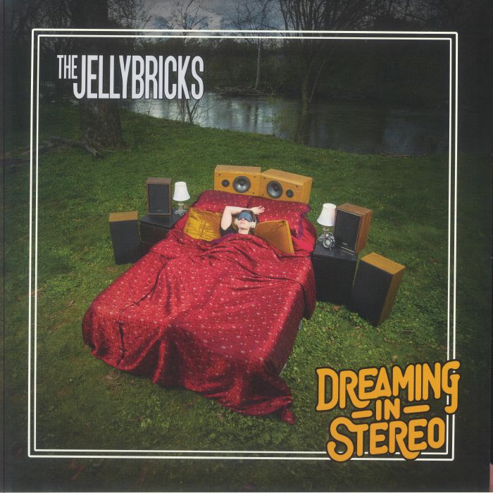 Dreaming In Stereo - Vinyl LP vinyl record cover