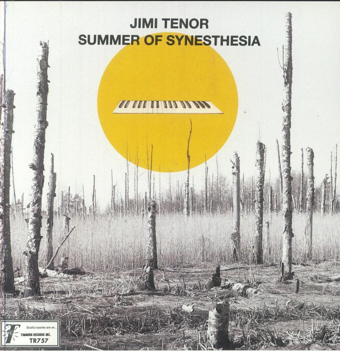 Summer Of Synesthesia - Vinyl Single vinyl record cover