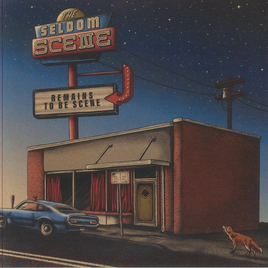 Remains To Be Scene - Vinyl LP vinyl record cover