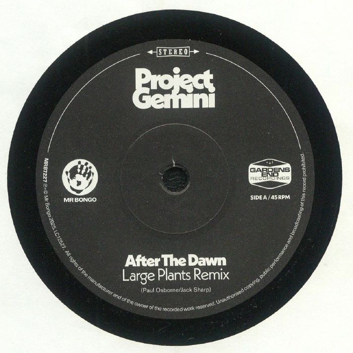 After The Dawn - Vinyl Single vinyl record cover