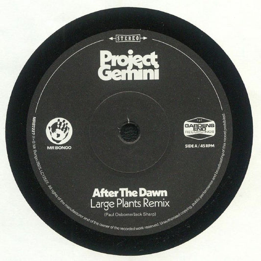 After The Dawn - Vinyl Single vinyl record cover
