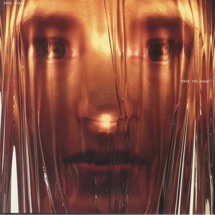 When You Know - Vinyl LP vinyl record cover