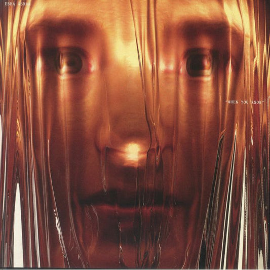 When You Know - Vinyl LP vinyl record cover