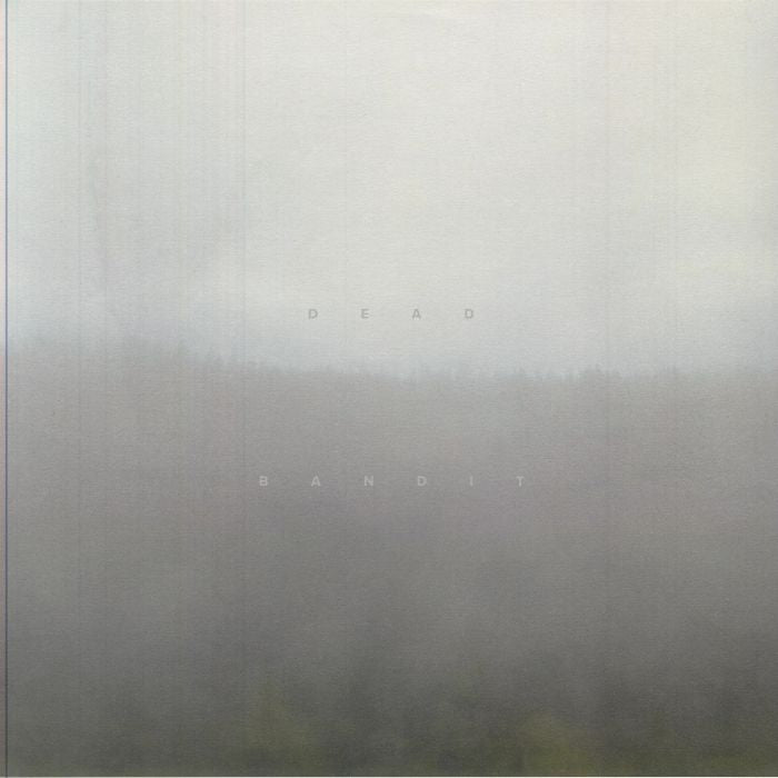 Dead Bandit - Vinyl LP vinyl record cover