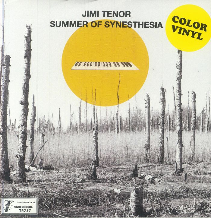 Summer Of Synesthesia - Clear Vinyl Single vinyl record cover