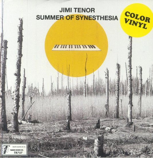 Summer Of Synesthesia - Clear Vinyl Single vinyl record cover