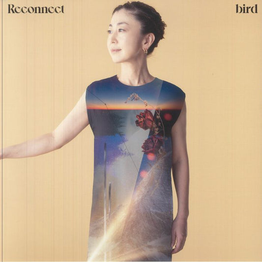 Reconnect - 25th Anniversary Edition Vinyl LP vinyl record cover