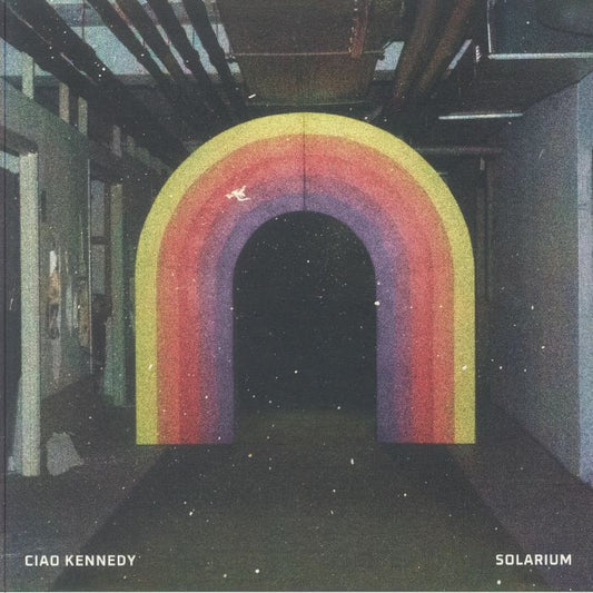 Solarium - Vinyl LP vinyl record cover