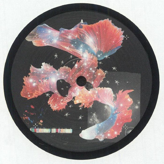 Lost In Space - Vinyl EP vinyl record cover