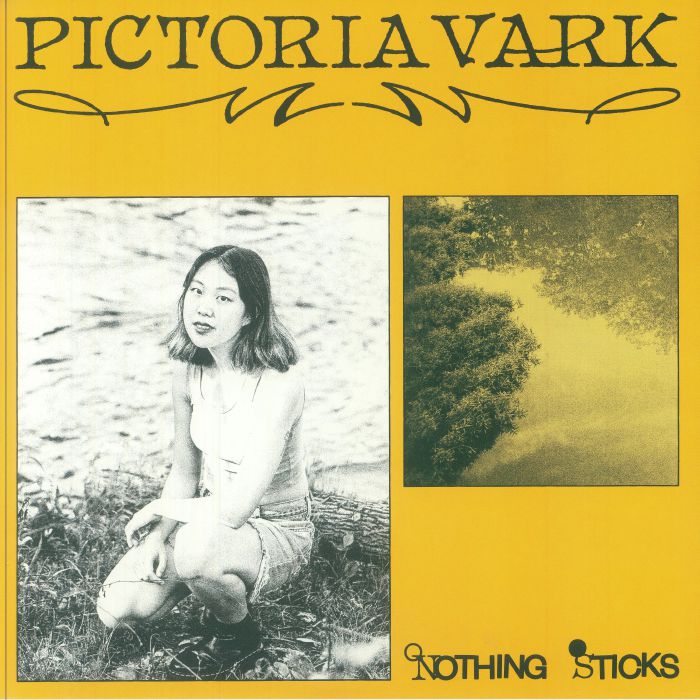 Nothing Sticks - Vinyl LP vinyl record cover